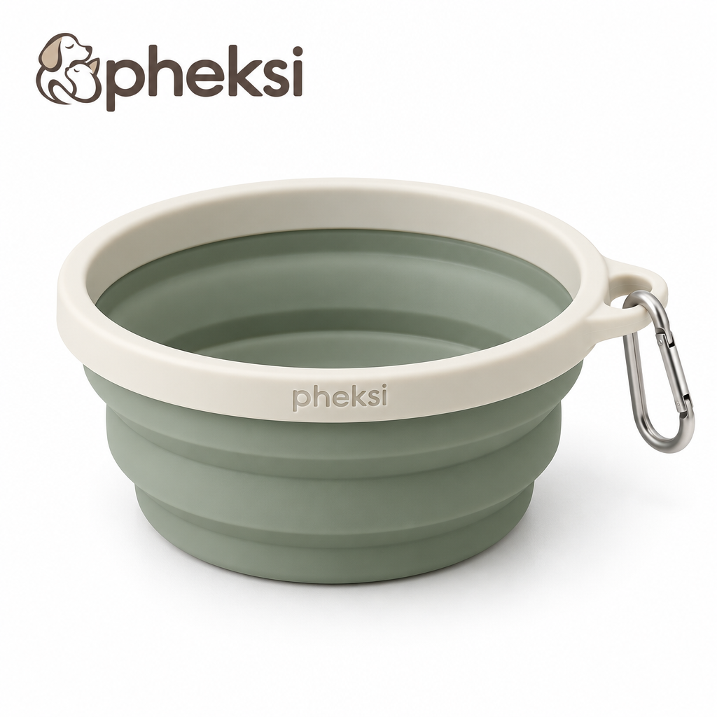 pheksi Collapsible Sage Green Travel Pet Bowl — Product overview